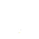 5555z